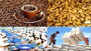 Agro-forestry-fishery exports in 2013 to hit US$28 billion