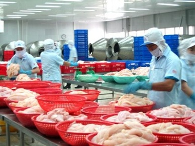 Marine fish exports continue to go up in QIII2012