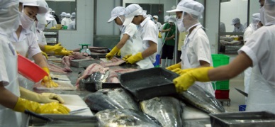 Vietnam’s tuna exports up slightly