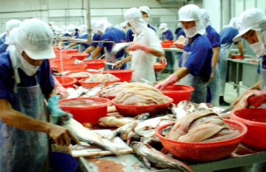 Vietnam pangasius exports increased by 5.5%
