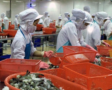 Vietnam sets goal of USD 10.5 billion in seafood exports for 2019