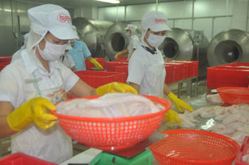 Struggle for survival