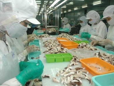 Cephalopod exports to China were firm