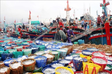 Vietnam fisheries industry continues to maintain its growth rate