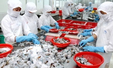 Vietnam - South Korea FTA signed seafood enjoys benefits 