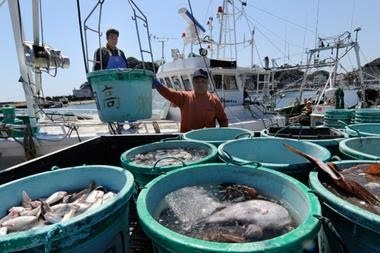 Japans fishermen hit hard by high fuel costs from devalued yen