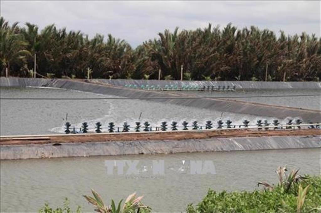 Tra Vinh to expand aquaculture area by 2500 hectares to 2030