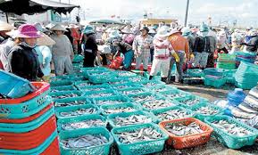 Decision 4407QD-BNN-TCTS announces the list of designated fishing ports with sufficient system to confirm the origin of fishing products (phase III, 2020)