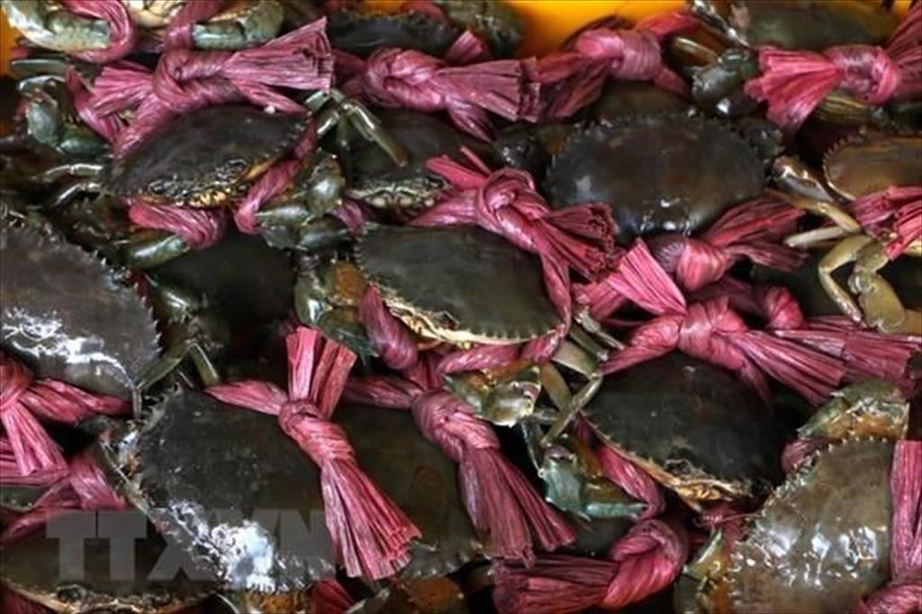Ca Mau Nam Can crab U Minh Hot Pot named among Vietnam’s Top 100 specialties