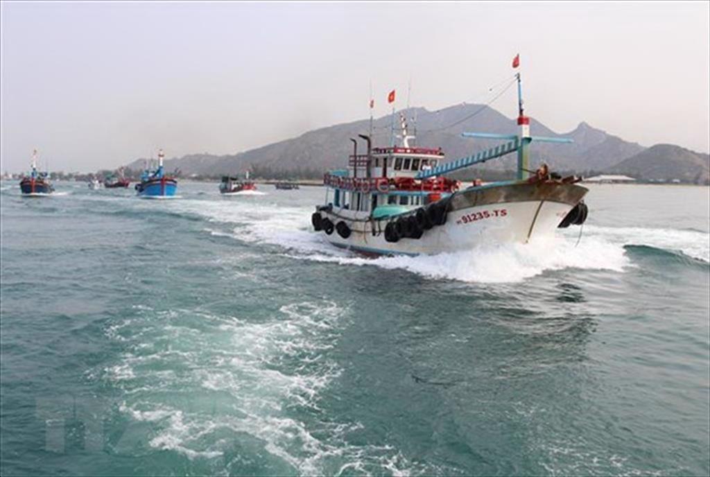 Vietnam making every effort to fight IUU fishing