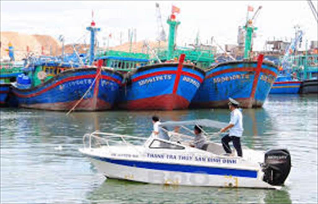 Binh Dinh province strengthens management of fishing activities