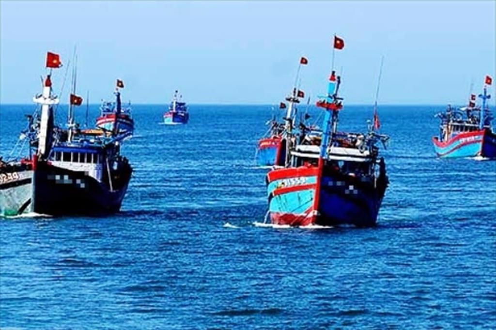Binh Dinh All fishing ships must obtain food safety certificates by end of June