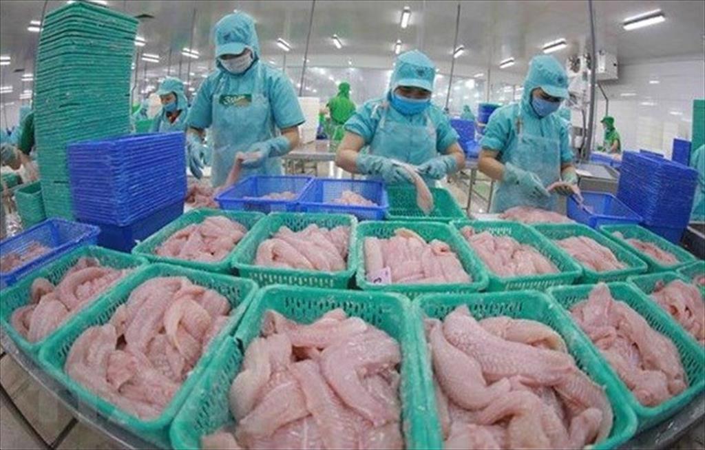 Many Vietnamese seafood exporters are not subject to US antidumping tariffs