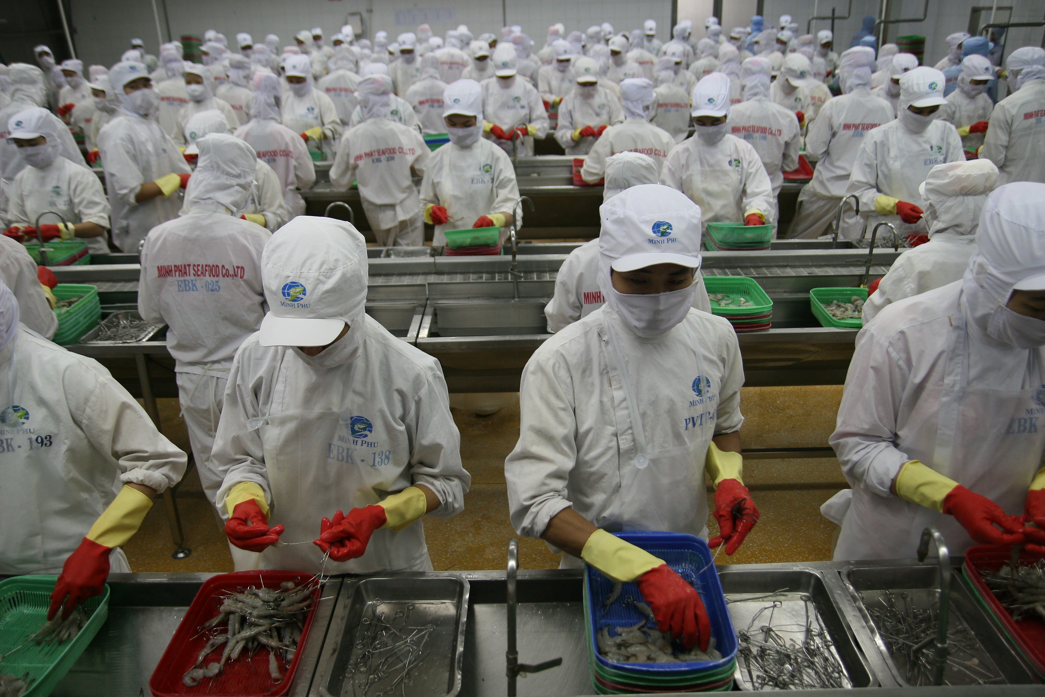 Seafood exports in the first eight months of the year increased by 7