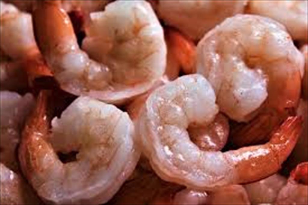 Shrimp exports to Korea are recovering