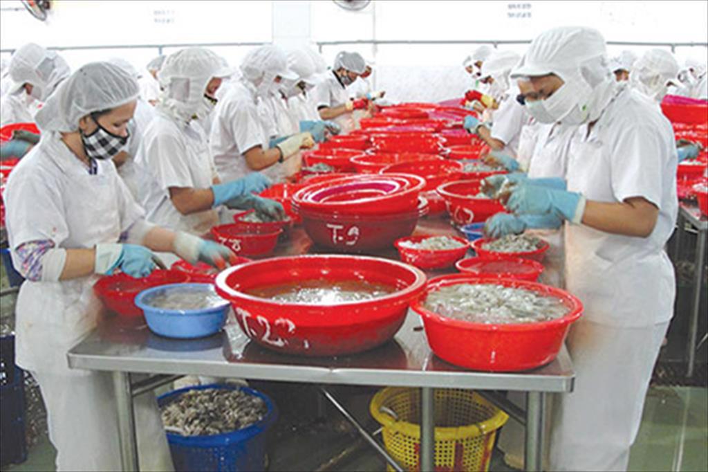 Soc Trang province Seafood exports in 11 months reached over 920 million USD