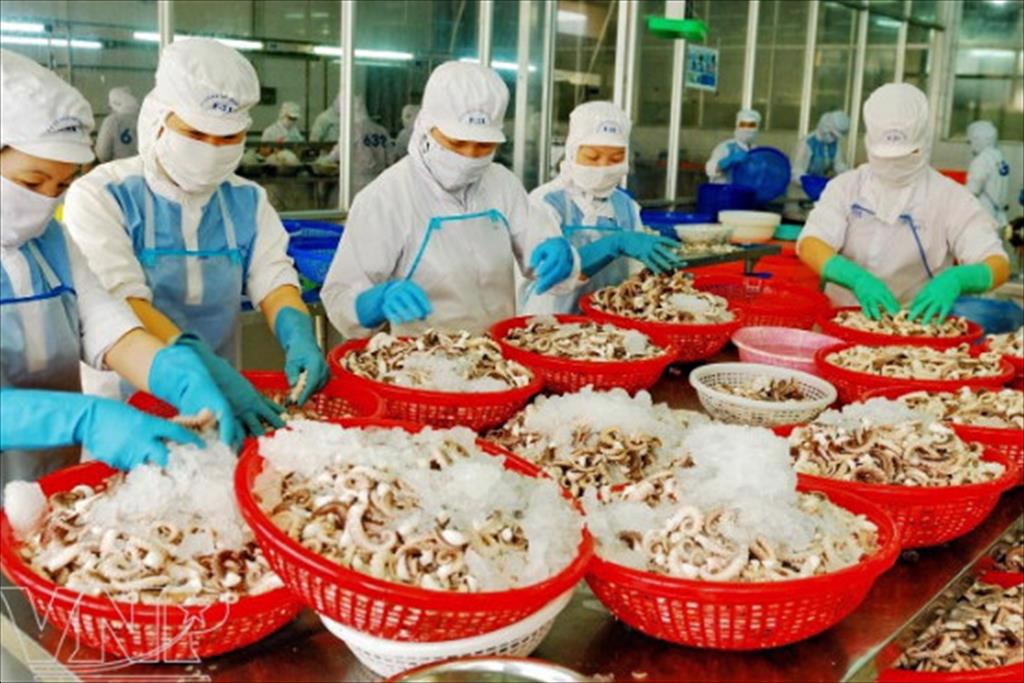 Viet Nams seafood exports in November recovered strongly by 23