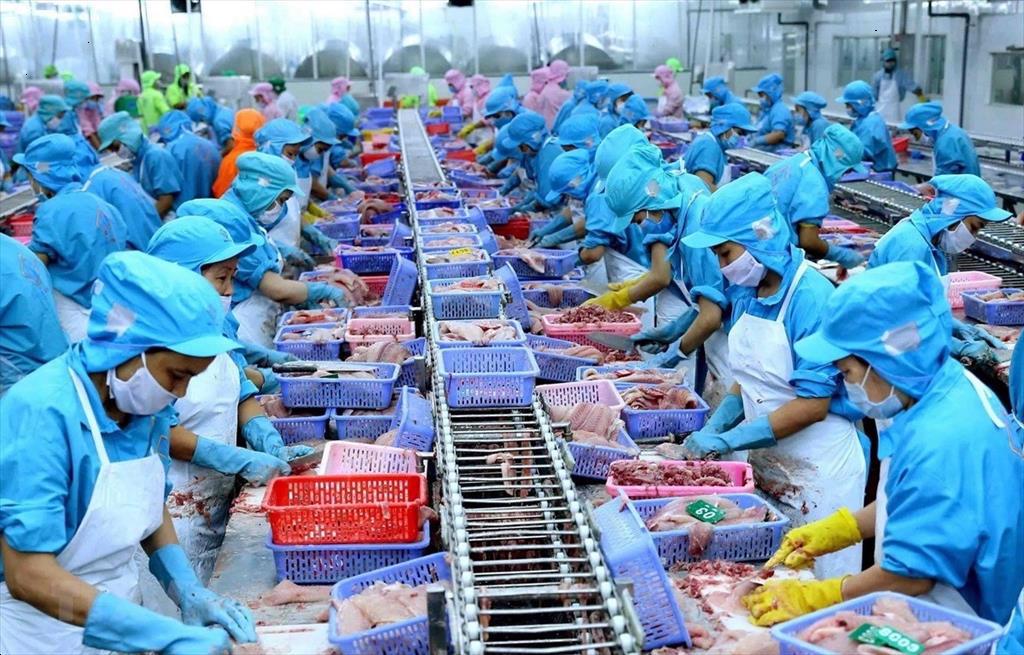 5 highlights of Vietnams seafood export industry in 2021