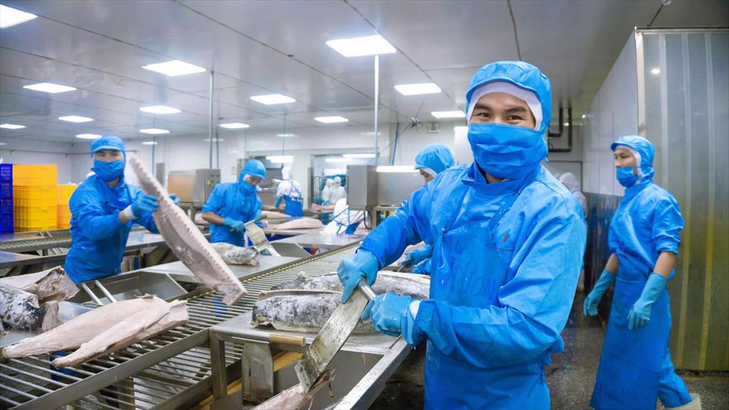 Vietnamese exports of tuna to the EU took off during the first months of 2022