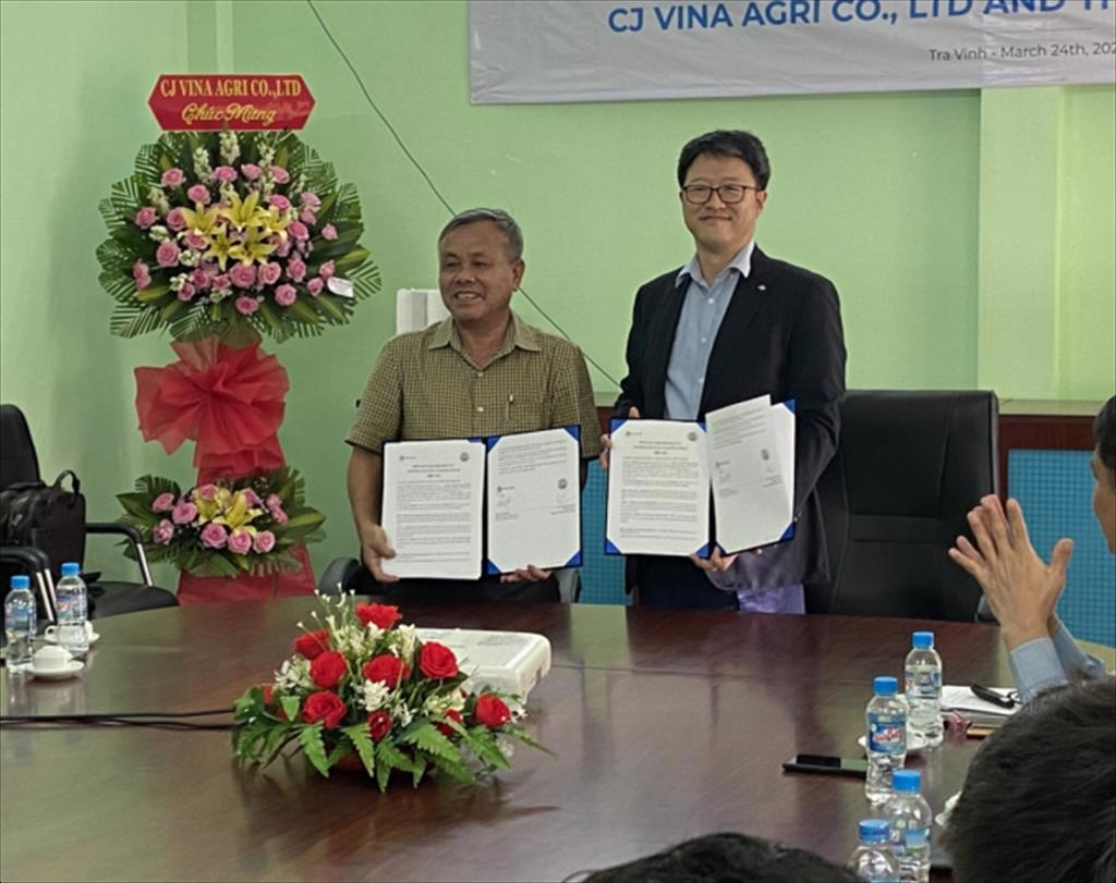 CJ Vina Agri and Thong Thuan cooperate to develop the shrimp farming industry