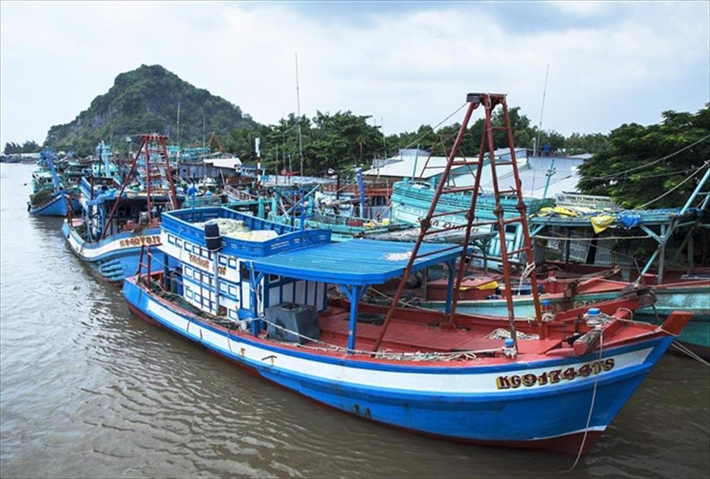 Kien Giang province has no fishing boats violating IUU for 2 consecutive quarters