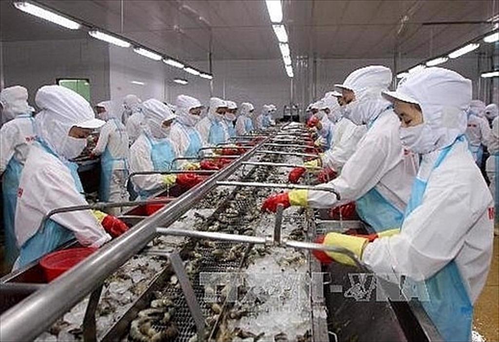 Ca Mau seafood exports are undergoing transformation in the postCOVID19 era