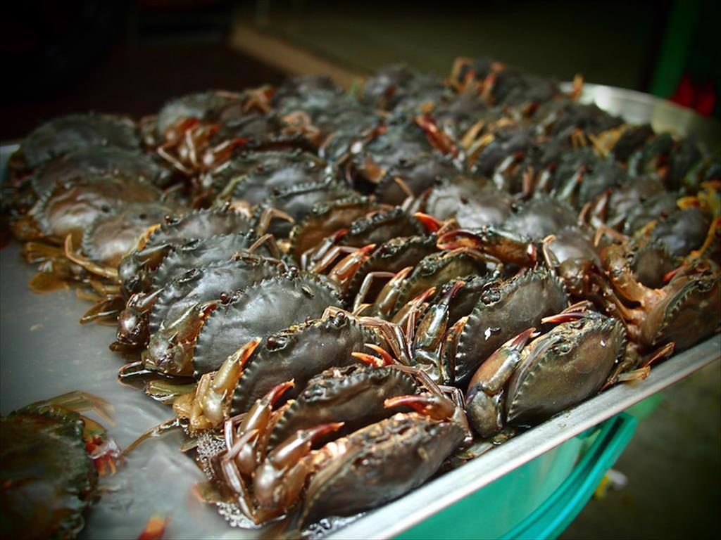 Crab exports to the US increased by nearly 80 in the first quarter of this year