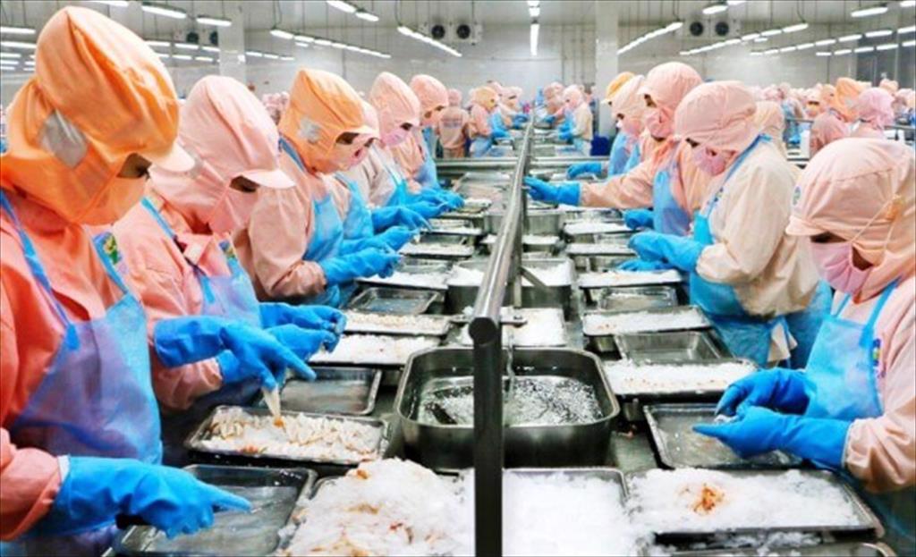 Minh Phu Seafood Corp reported a 34 times higher profit in the first quarter of 2022
