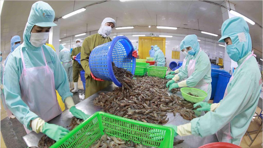 Vietnam seafood companies profit may still be satisfactory in the second quarter