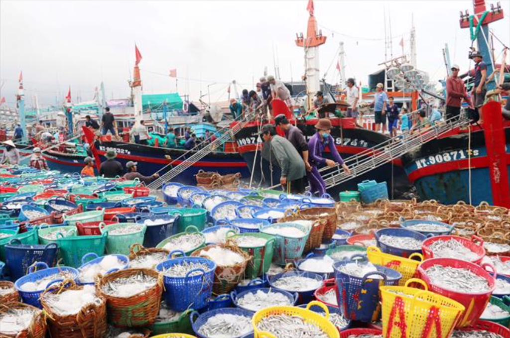 Vietnam’s total marine product exports reached nearly 17 billion USD in the first five months
