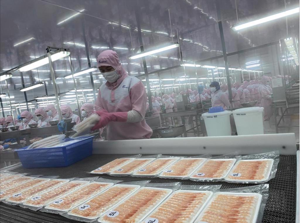 Vietnam seafood exports to the EU market increased by 45 in the first 5 months of 2022