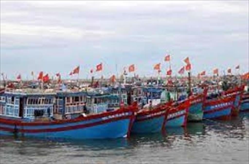 Vietnam fisheries production in the first 6 months of the year reached nearly 42 million tons