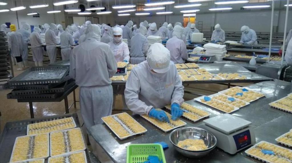Camimex Group increases processing capacity to 20000 shrimp products per year 