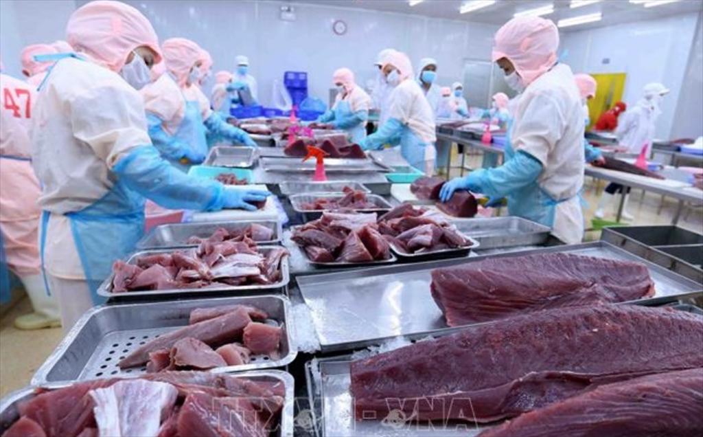 Vietnam tuna exports is forecasted to reach a record of over 1 billion USD in 2022