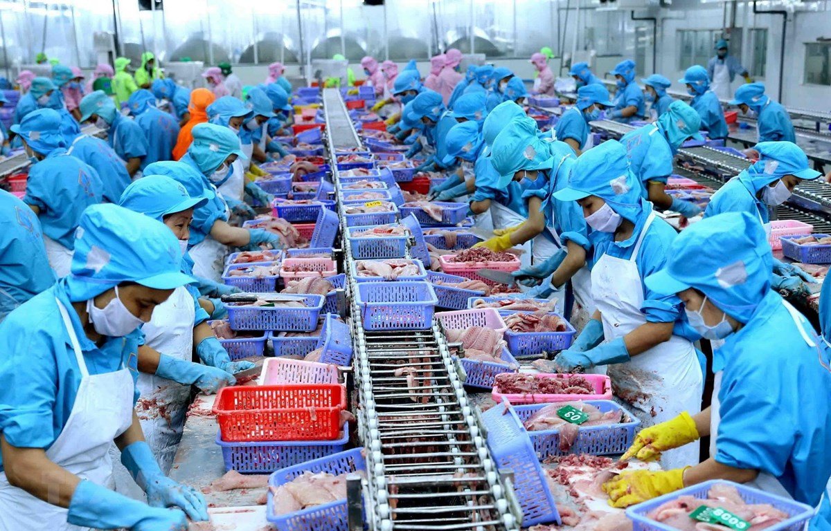 Vietnam seafood exports in July slowed down reaching less than 1 billion USD