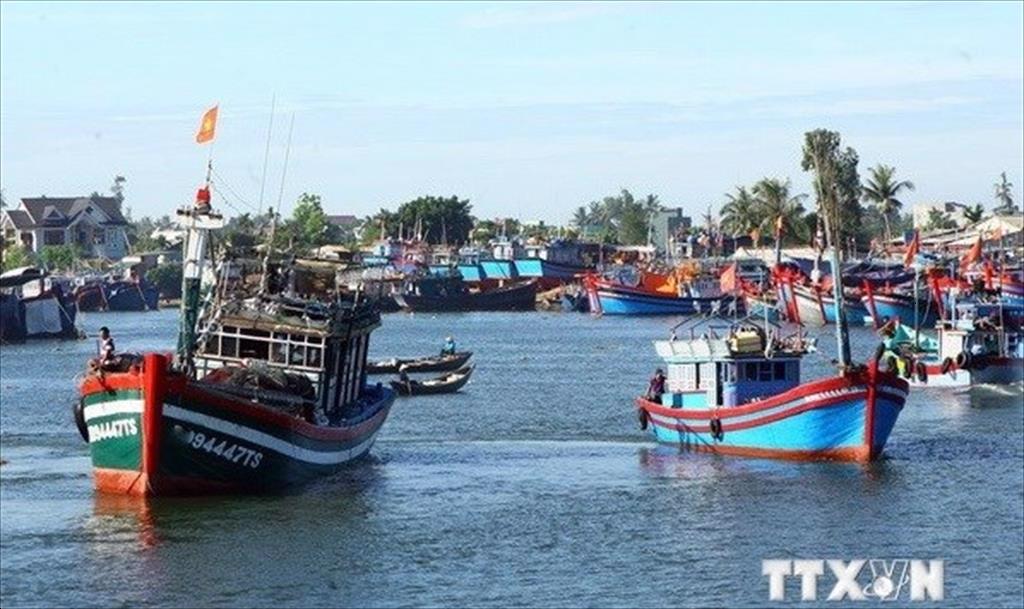 All illegal fishing activities to be punished strictly deputy minister