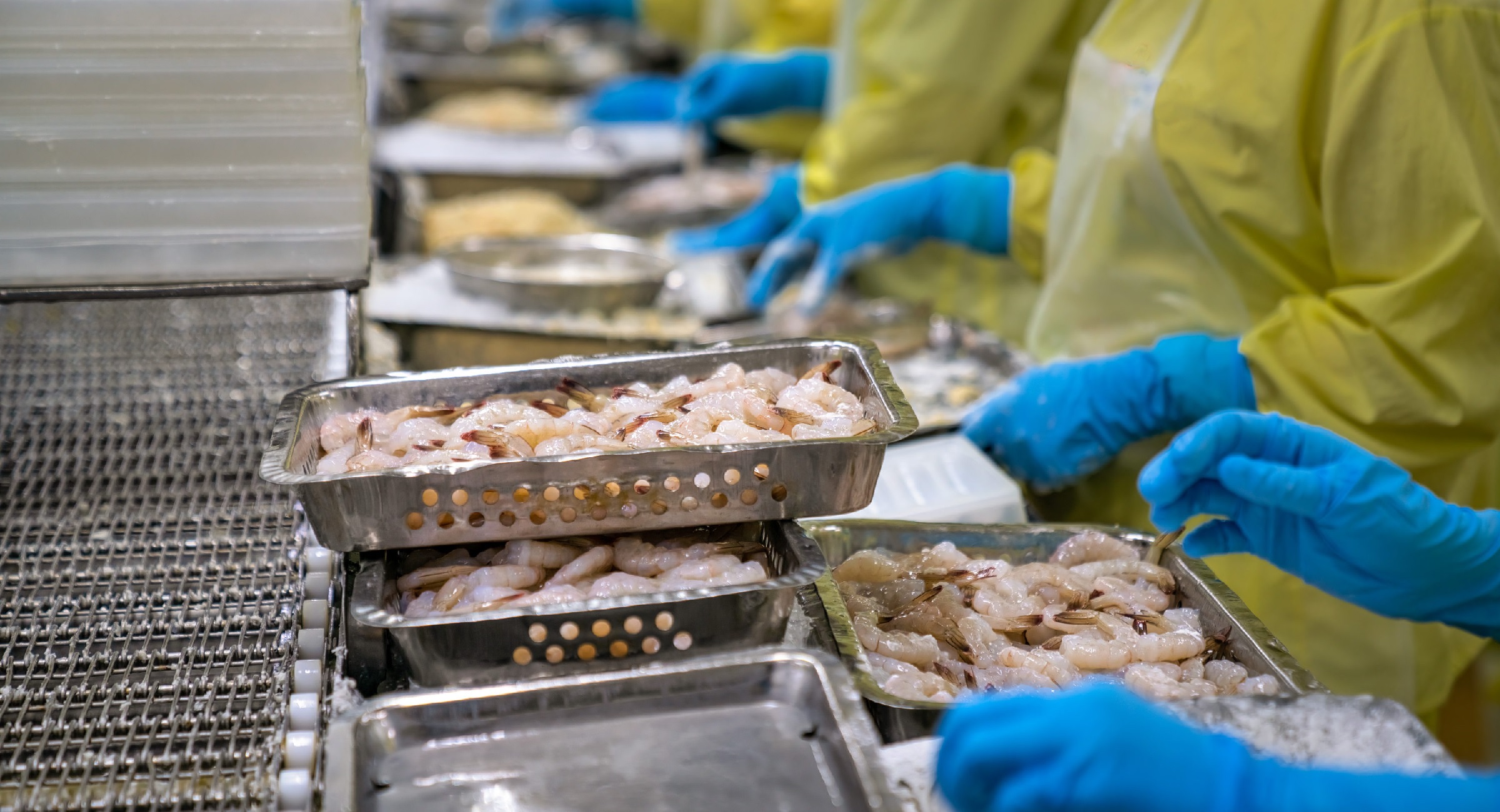 Vietnam’s shrimp exports to the US and China tend to increase