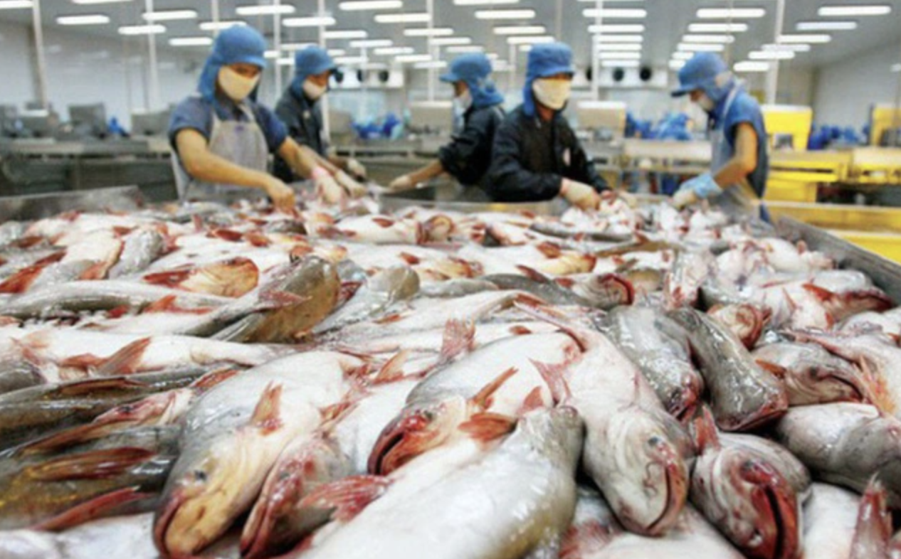 Vietnam seafood exports in 2023 can bring in over 9 billion USD