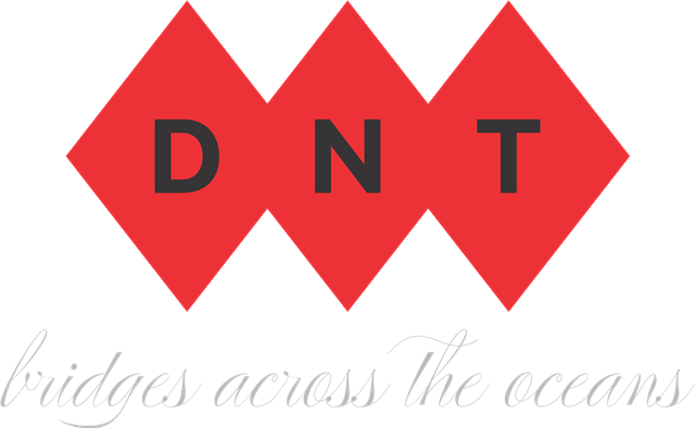 DEN TI LIMITED