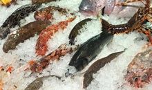 Japan government trying to boost income of fish farmers