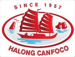 HALONG CANFOCO - DA NANG CO. LTD