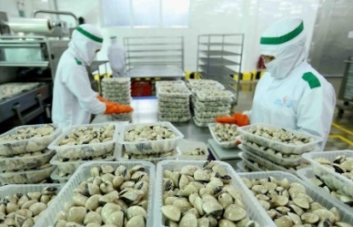 Vietnams exports of bivalve molluscs decreased slightly