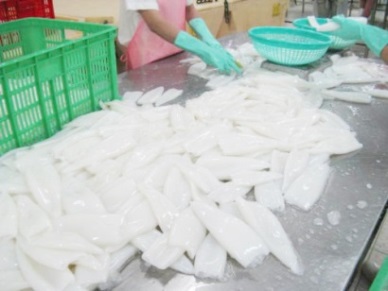 Cephalopod exports to Japan grew steadily