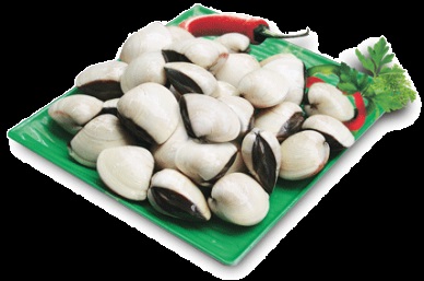 Imported clam price into Japan at nearly US$5 per kg