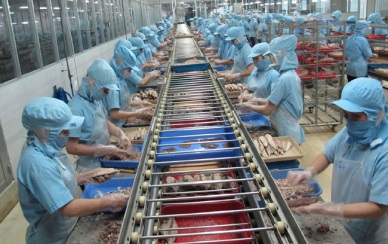 Vietnamese tuna exports to main markets began to be positive 