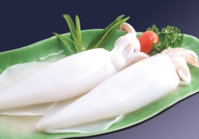 Germany increased cephalopod imports  