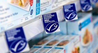 MSC opens final round of consultations on changesupdates to its standards