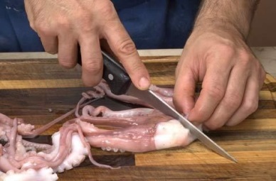 South Korea – The potential buyer of Vietnam’s freshlivefrozen octopus