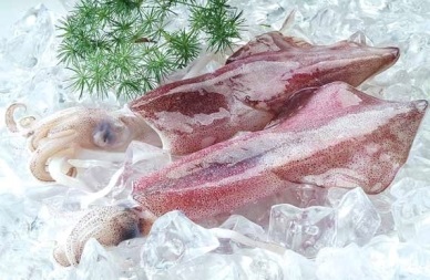 Cephalopod exports to China rose 7.6%