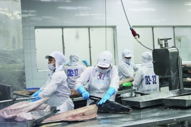 Egypt A bright spot in Vietnam tuna exports in the first six months 